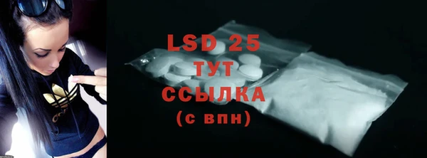 PSILOCYBIN Рославль