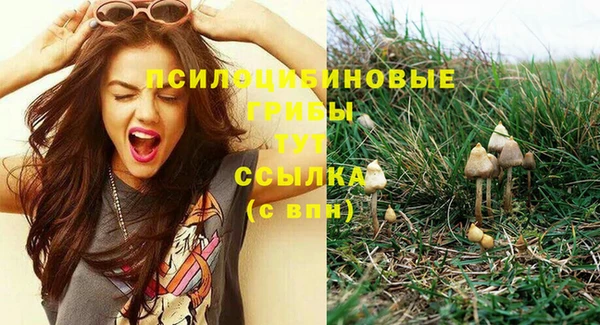соль ск Абинск