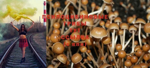 а пвп мука Алзамай