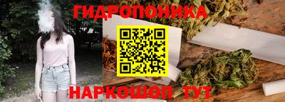 гидропоника Кунгур