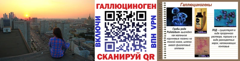 Псилоцибиновые грибы Psilocybine cubensis  Кизилюрт 