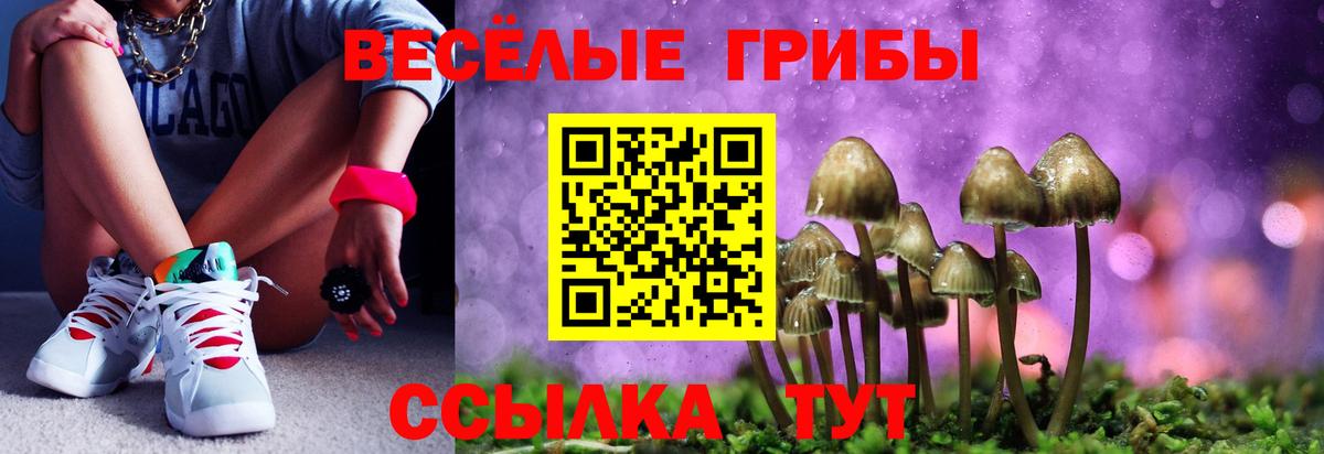 Кизилюрт  Галлюциногенные грибы Psilocybine cubensis  Вход с VPN 