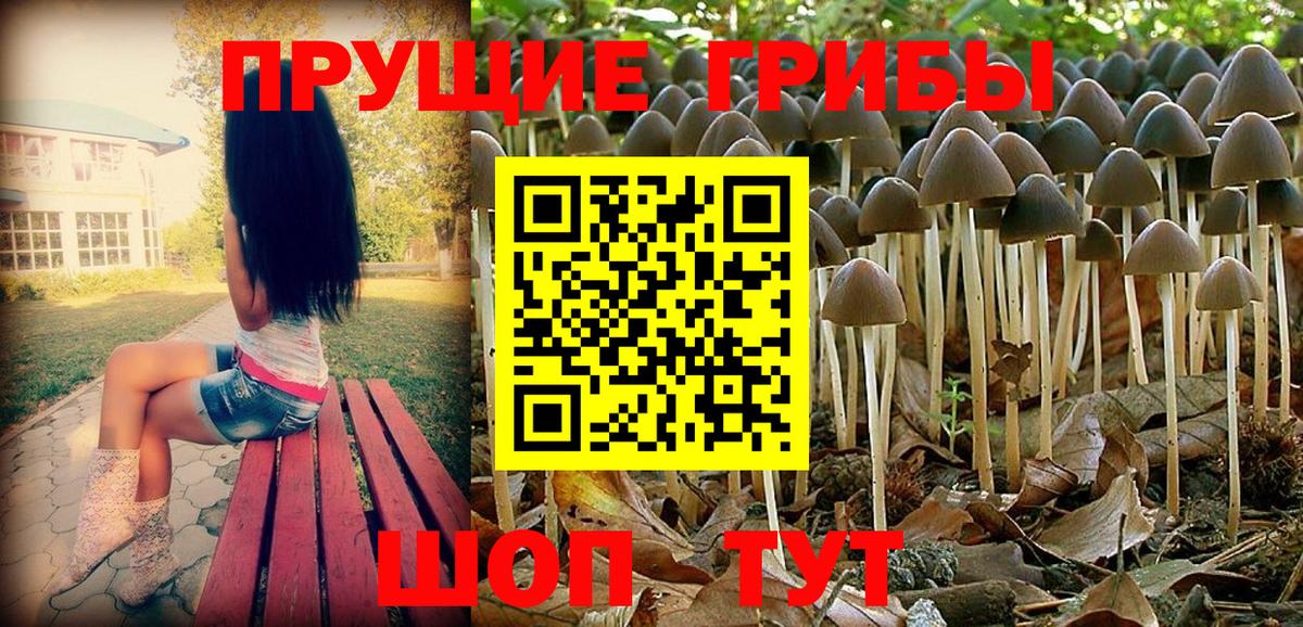 Галлюциногенные грибы прущие грибы Кизилюрт